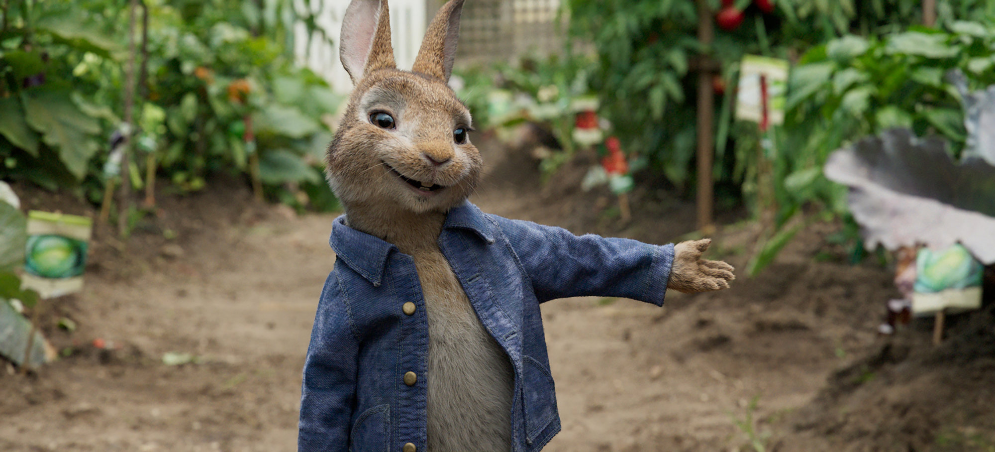 Wettbewerb zu Peter Hase: Wir verlosen eine Blu-ray zum Film