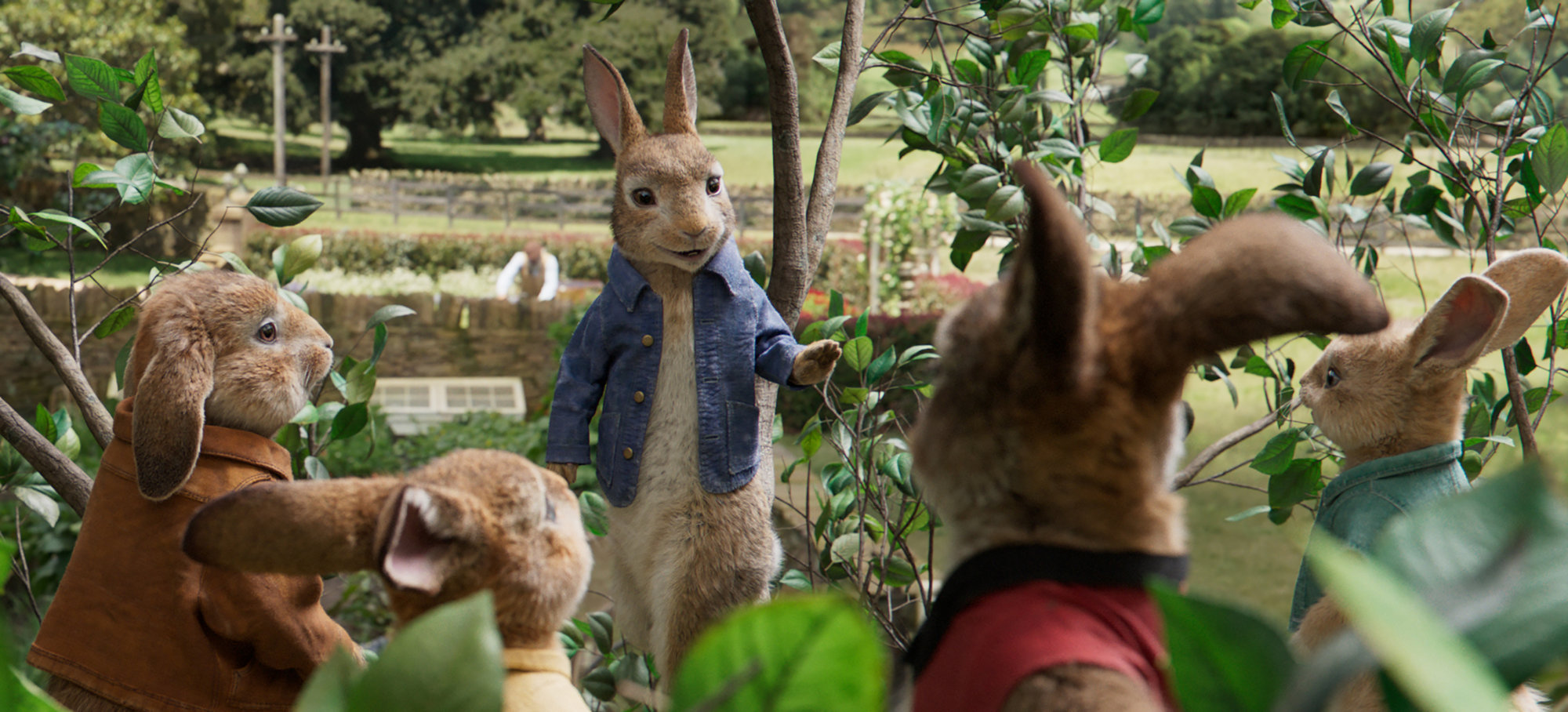 Wettbewerb zu Peter Hase: Wir verlosen eine Blu-ray zum Film