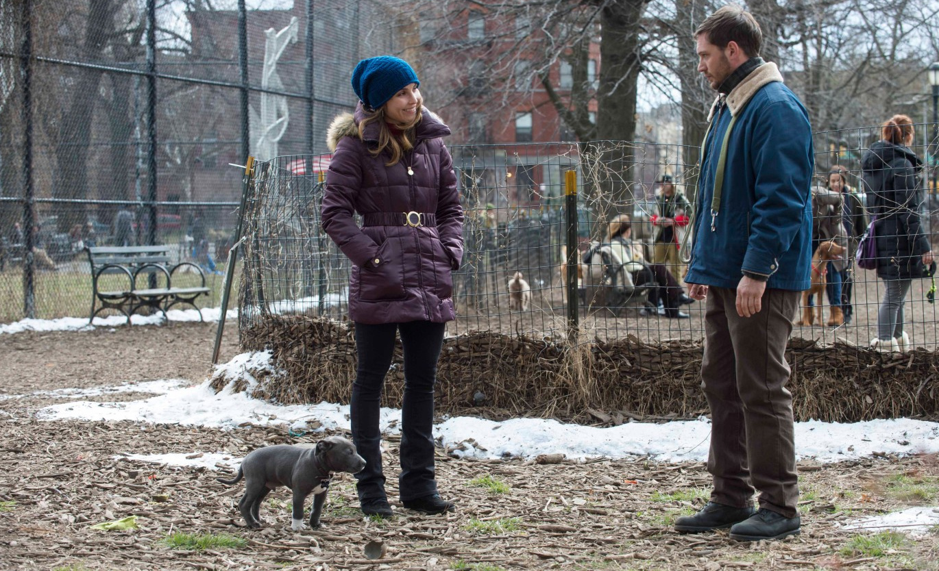 Wettbewerb zu The Drop: Blu-rays zu gewinnen