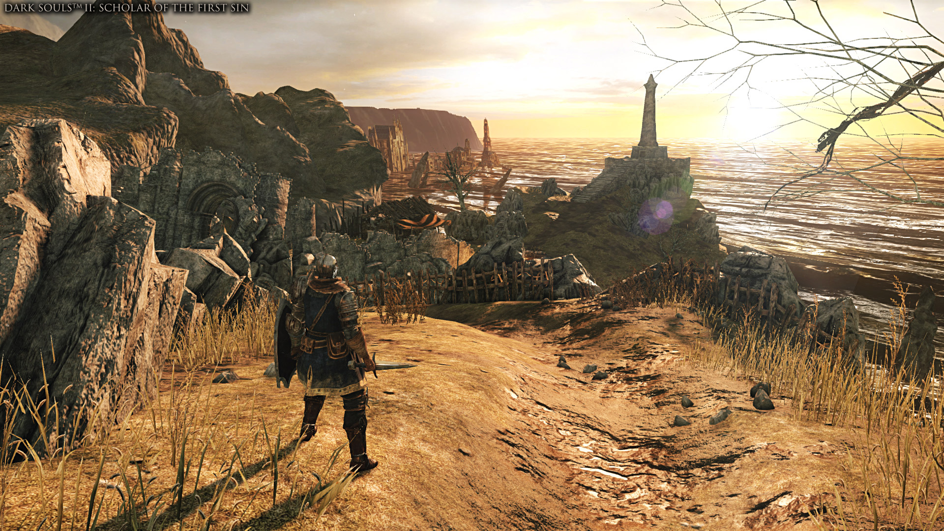 Dark Souls 2: Scholar of the First Sin