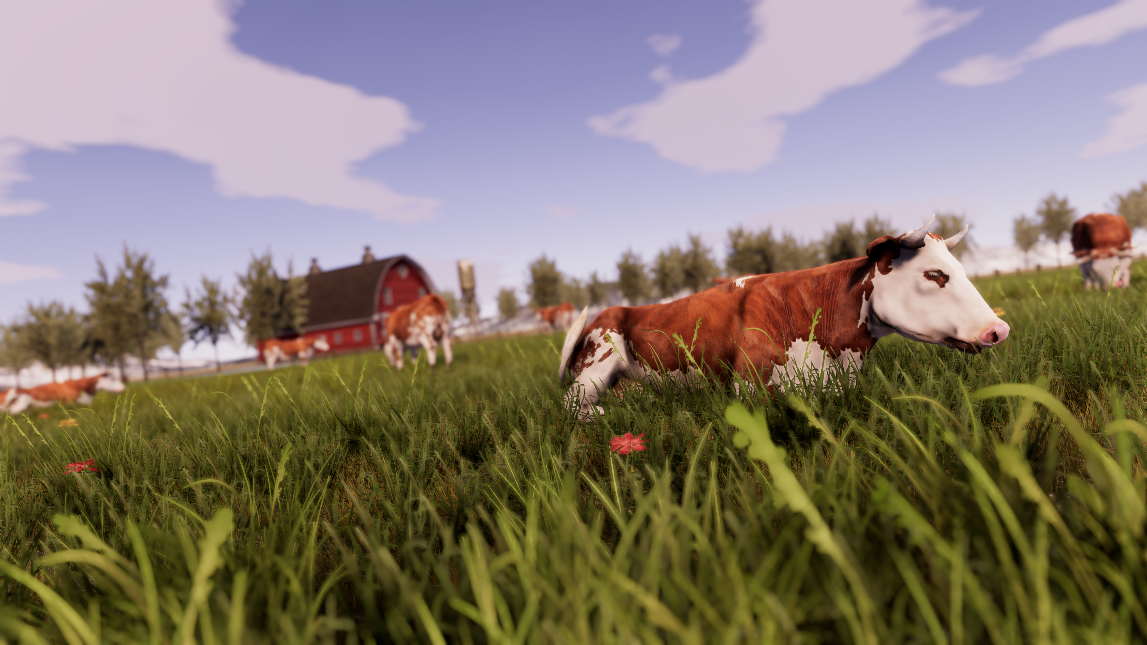 Real Farm