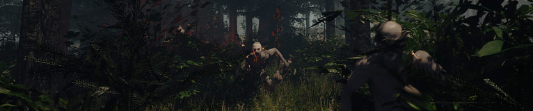 The Forest