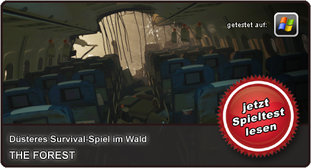Unser Test/Review zu The Forest